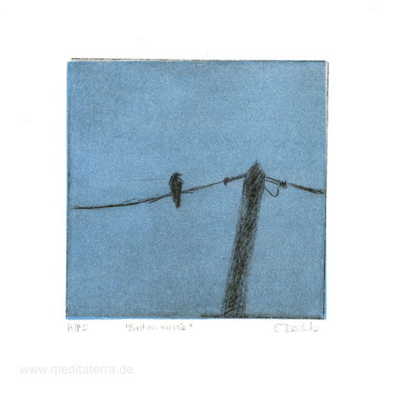 Carolyn, Dodds 1, Australia, Bird On A Wire, Drypoint, 10 x 10, 2015