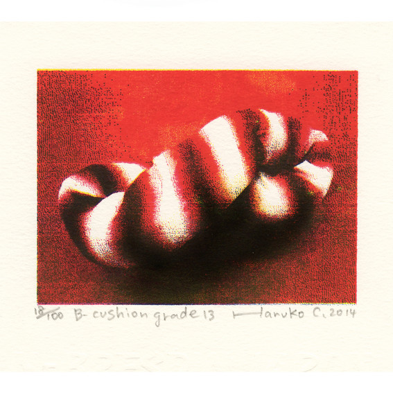 Haruko Cho 2, Japan, B-Cushion Grade 13, 2014, Screen Print,15 x 21 cm