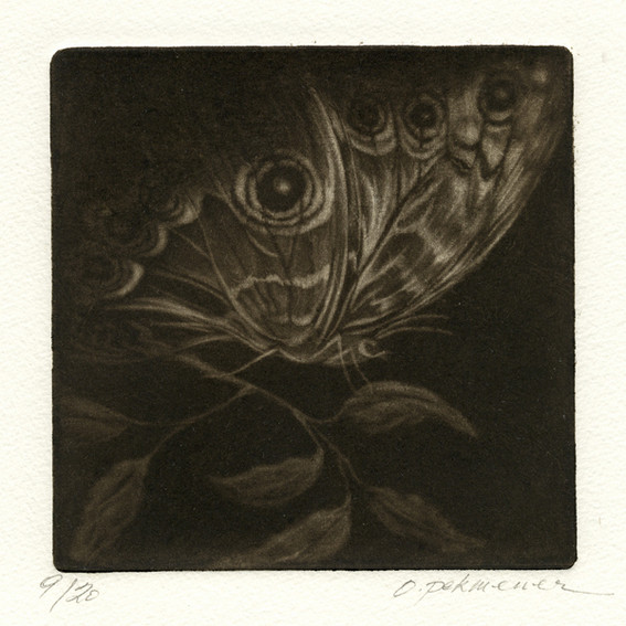 Oya Pekmener 1, Turkey, Butterfly, 2016, Mezzotint, 12,5 x 12,5 cm