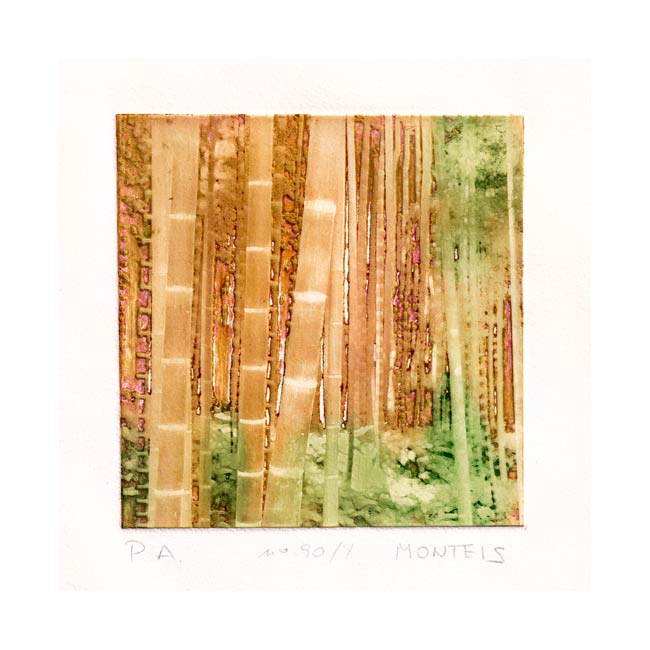Julia Sanchez 2, Spain, Bambu-90, 2017, Photogravure, 18,5 x 24,5 cm