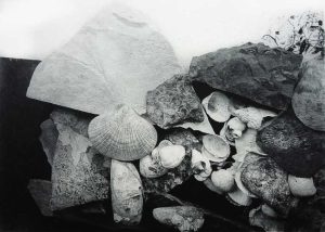 Alina Jackiewicz-Kaczmarek, Poland, Fossil III, 2019, Intaglio, 12,5 x 17,5 cm