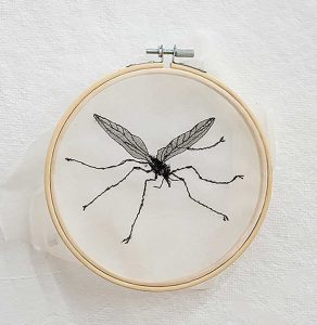 Aomi Kikuchi, Japan, Crane Fly, 2020, silk embroidery, 16 cm round